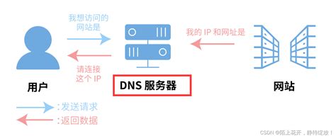 9185p.come|91858.com服务器iP 91858.com域名解析 91858.comiP查询